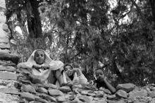 children_3820